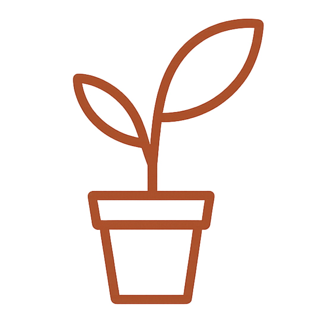 Icône Site Starter